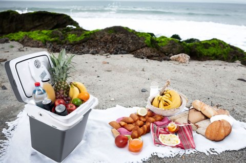 LODÓWKA TURYSTYCZNA PRZENOŚNA SAMOCHODOWA 29L 220-240V DC12V FUNKCJA GRZANIA WKŁAD GRATIS GRAFITOWA