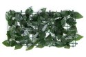 SZTUCZNY BLUSZCZ ŻYWOPŁOT 500X50 CM ZIELONA OSŁONA NA BALKON MASKUJĄCA